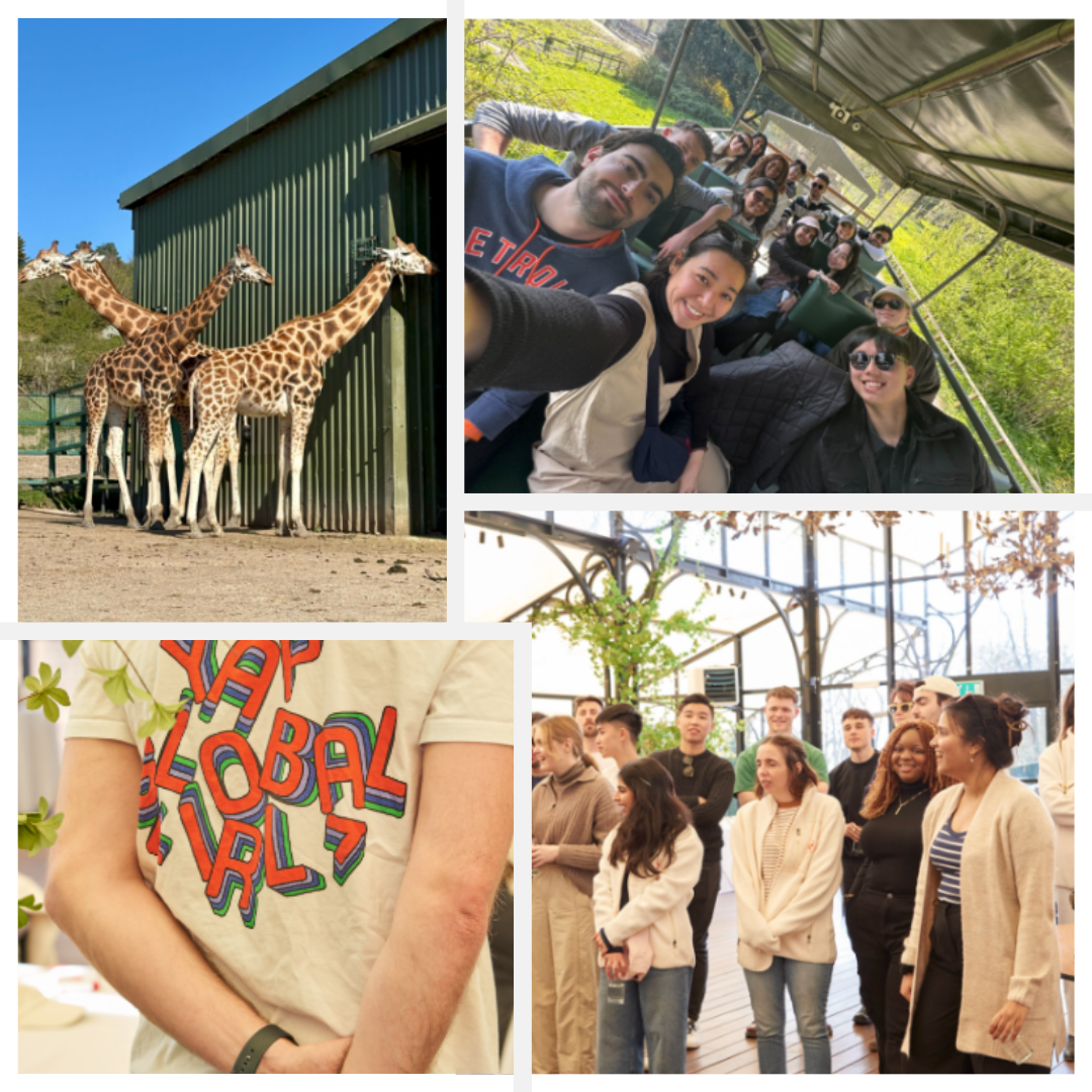 Offsite blog collage